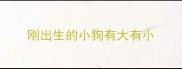 刚出生的小狗有大有小