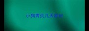 小狗胃炎几天能好