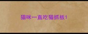 猫咪一直吃猫抓板