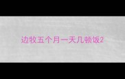 边牧五个月一天几顿饭