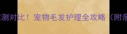 美毛粉VS海藻粉实测对比宠物毛发护理全攻略附亲测有效品牌清单