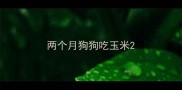两个月狗狗吃玉米
