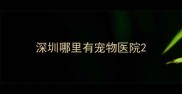 深圳哪里有宠物医院