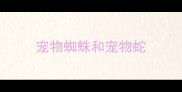 宠物蜘蛛和宠物蛇