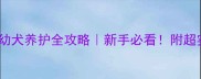 2个月阿拉斯加幼犬养护全攻略新手必看附超实用护理清单
