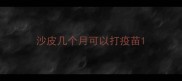 沙皮几个月可以打疫苗