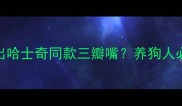 救命我家金毛突然长出哈士奇同款三瓣嘴养狗人必看品种混淆避坑指南