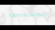 长途大巴可以带小狗吗