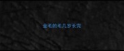 金毛的毛几岁长完