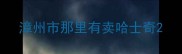漳州市那里有卖哈士奇