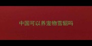 中国可以养宠物雪貂吗