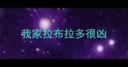 我家拉布拉多很凶