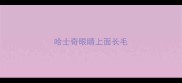 哈士奇眼睛上面长毛