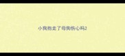 小狗抱走了母狗伤心吗