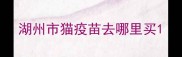 湖州市猫疫苗去哪里买