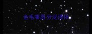金毛嘴唇分泌液体