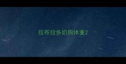 拉布拉多奶狗体重
