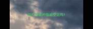 没打疫苗的猫能空运吗