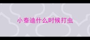 小泰迪什么时候打虫