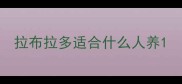 拉布拉多适合什么人养