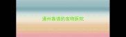 通州靠谱的宠物医院