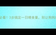 幼犬喂养必看3步搞定一日喂食量别让狗狗吃出小肚腩