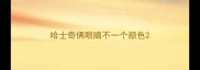 哈士奇俩眼睛不一个颜色