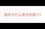猫咪为什么喜欢纸箱子