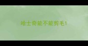 哈士奇能不能剪毛