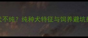如何科学识别拉布拉多犬不纯纯种犬特征与饲养避坑指南附权威认证标准