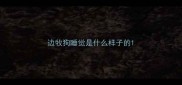 边牧狗睡觉是什么样子的