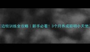 边牧训练全攻略新手必看3个月养成聪明小天使