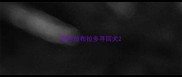 黑色拉布拉多寻回犬