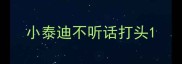 小泰迪不听话打头