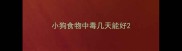 小狗食物中毒几天能好