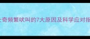 哈士奇频繁吠叫的7大原因及科学应对指南