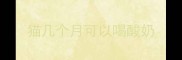 猫几个月可以喝酸奶