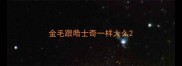 金毛跟哈士奇一样大么