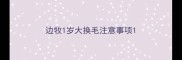 边牧1岁大换毛注意事项
