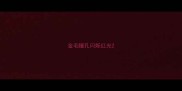 金毛瞳孔闪烁红光