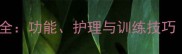 拉布拉多犬尾巴全功能护理与训练技巧附养护指南