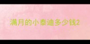 满月的小泰迪多少钱