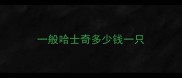 一般哈士奇多少钱一只