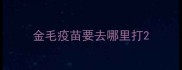 金毛疫苗要去哪里打
