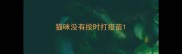 猫咪没有按时打疫苗