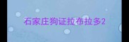 石家庄狗证拉布拉多