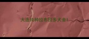 大连纯种拉布拉多犬舍