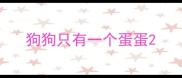狗狗只有一个蛋蛋