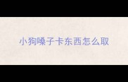 小狗嗓子卡东西怎么取