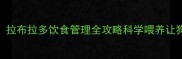 新手必看拉布拉多饮食管理全攻略科学喂养让狗狗更健康